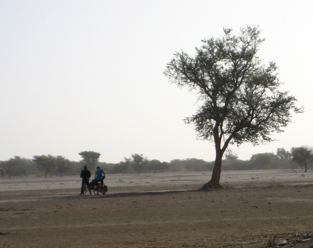 Viele Wege führen tout droit