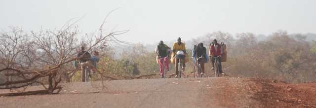Marktfahrer von vorne...
