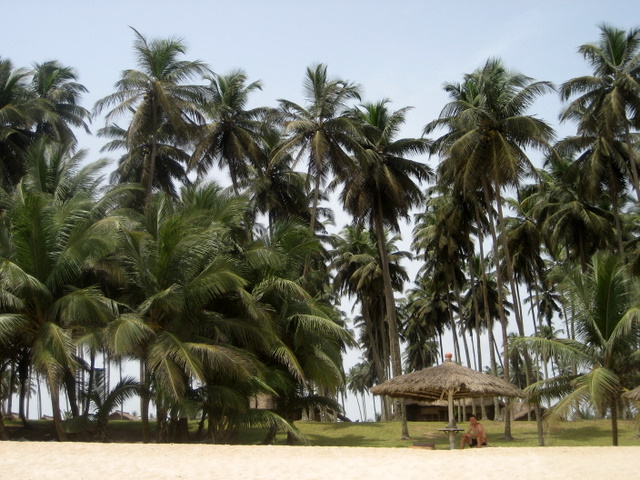 Jede brucht sini Insle, jede sin Palmestrand