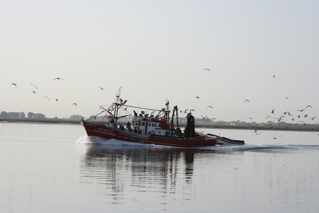 Fischerboot auf dem Guadiana