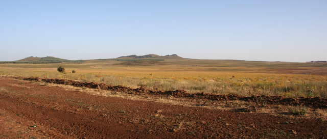 Morgenstimmung nach Ifrane