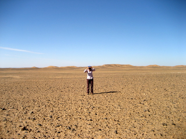 Iris - ab in die Wueste