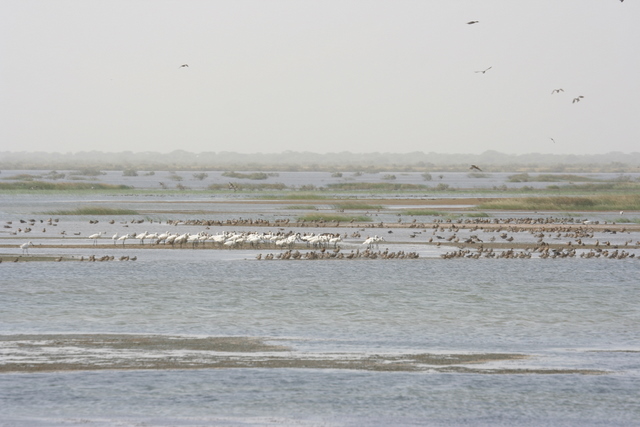 Senegaldelta, Mauretanien