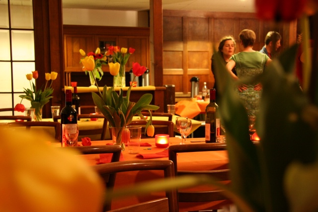 Merlot - Tulpen - Aufbruchstimmung